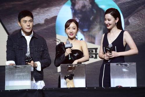 娱乐吃瓜酱不可思议,揭秘不可思议的娱乐圈幕后故事