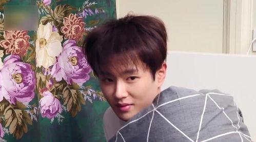 吃瓜娱乐圈八卦范丞丞,揭秘明星背后的故事